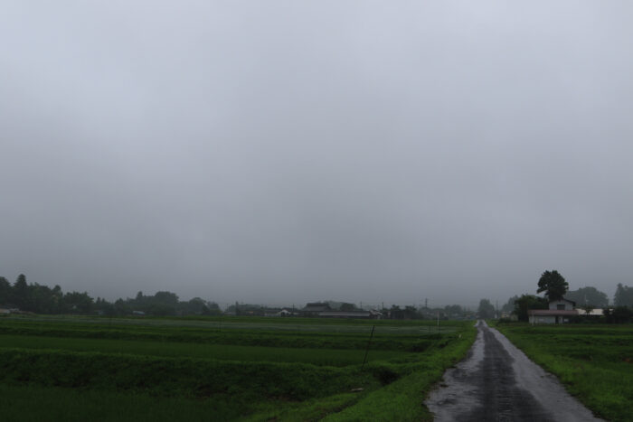 7月6日(月)　AM 6:52　前橋市苗ケ島町