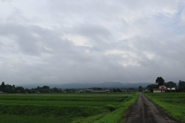 7月7日(火)　AM 7:42　前橋市苗ケ島町