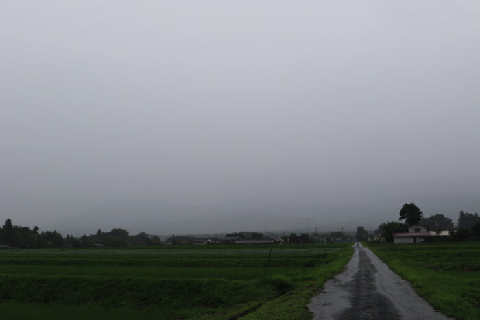 7月8日(水)　AM 7:40　前橋市苗ケ島町