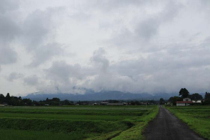 7月9日(木)　AM 8:06　前橋市苗ケ島町