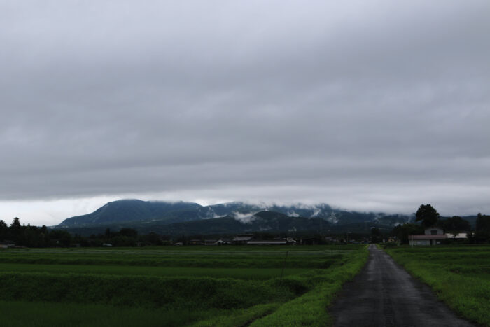 7月14日(火)　AM 7:06　前橋市苗ケ島町