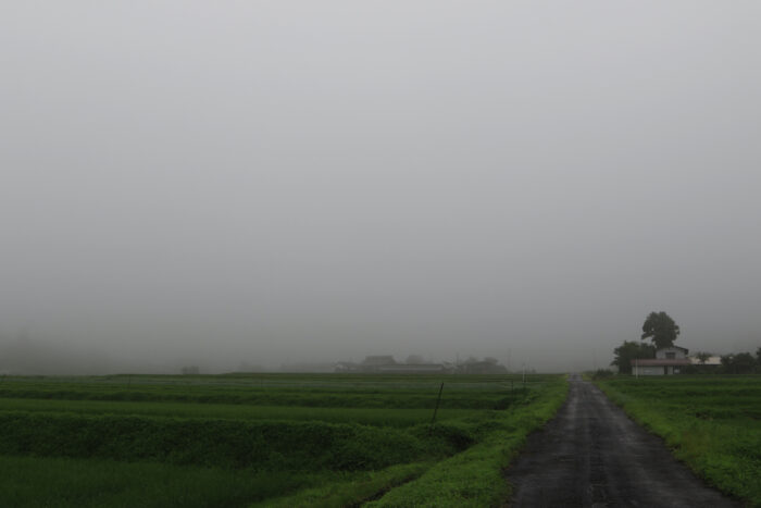 7月15日(水)　AM 7:17　前橋市苗ケ島町