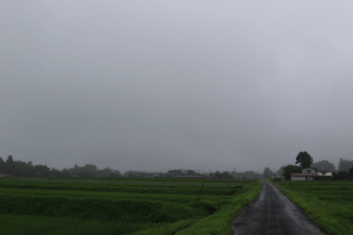 7月17日(金)　AM 7:44　前橋市苗ケ島町