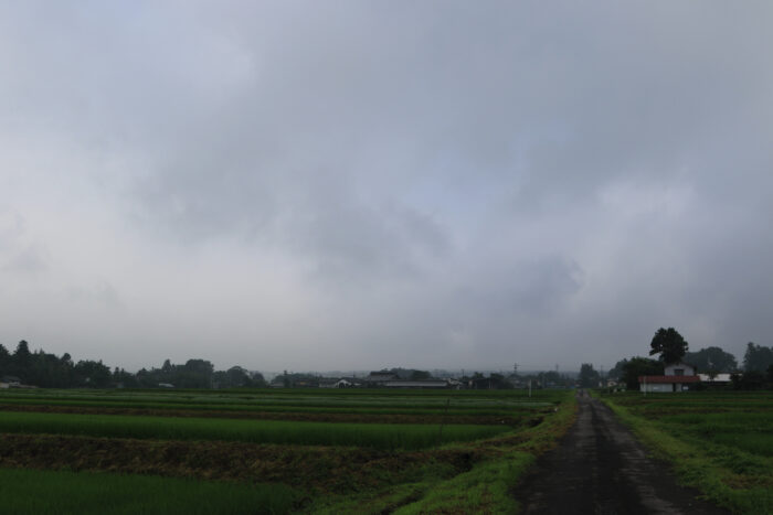 7月22日(水)　AM 7:43　前橋市苗ケ島町