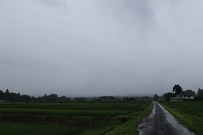 7月23日(木)　AM 10:18　前橋市苗ケ島町