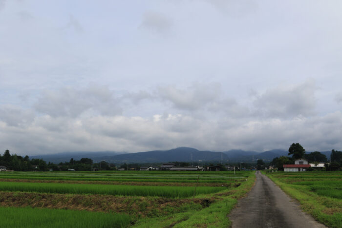 7月24日(金)　AM 9:33　前橋市苗ケ島町