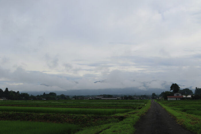 7月27日(月)　AM 7:39　前橋市苗ケ島町