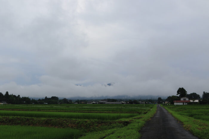 7月28日(火)　AM 7:55　前橋市苗ケ島町