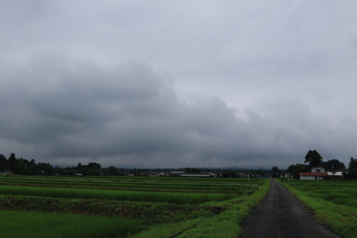 7月29日(水)　PM 0:56　前橋市苗ケ島町