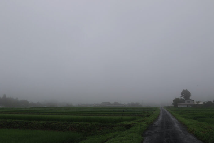 7月30日(木)　AM 7:45　前橋市苗ケ島町