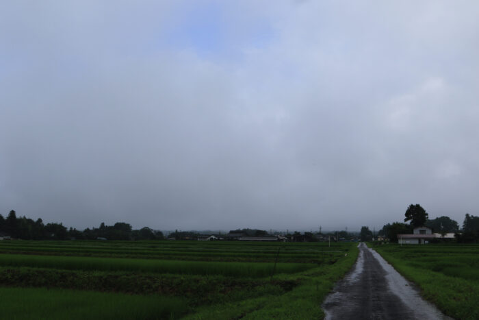 7月31日(金)　AM 7:38　前橋市苗ケ島町