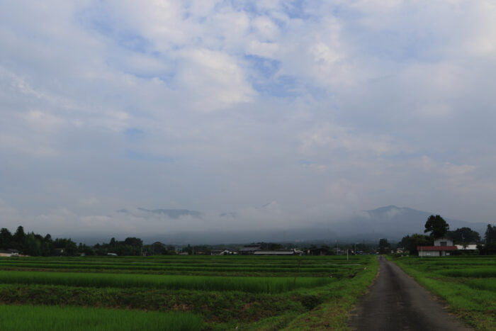 8月3日(月)　AM 7:17　前橋市苗ケ島町