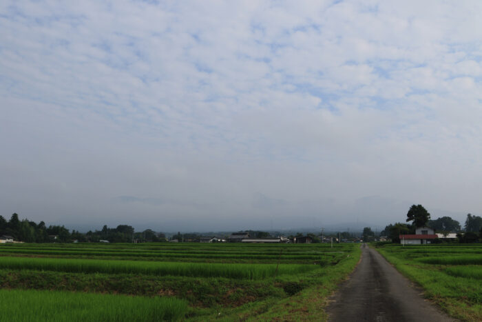 8月4日(火)　AM 7:34　前橋市苗ケ島町