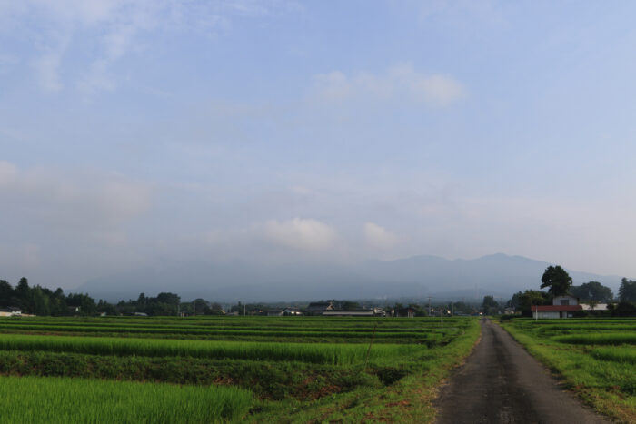 8月5日(水)　AM 6:56　前橋市苗ケ島町