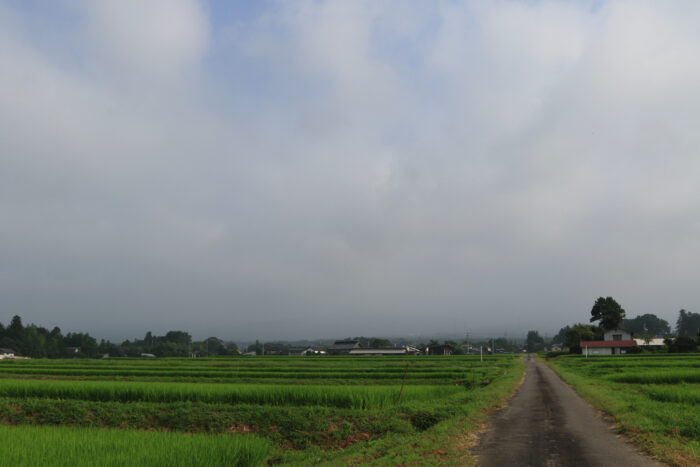 8月6日(木)　AM 7:51　前橋市苗ケ島町