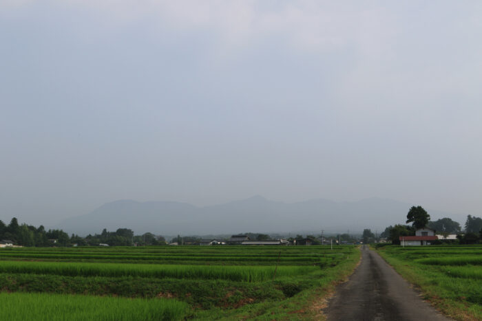 8月7日(金)　AM 7:50　前橋市苗ケ島町