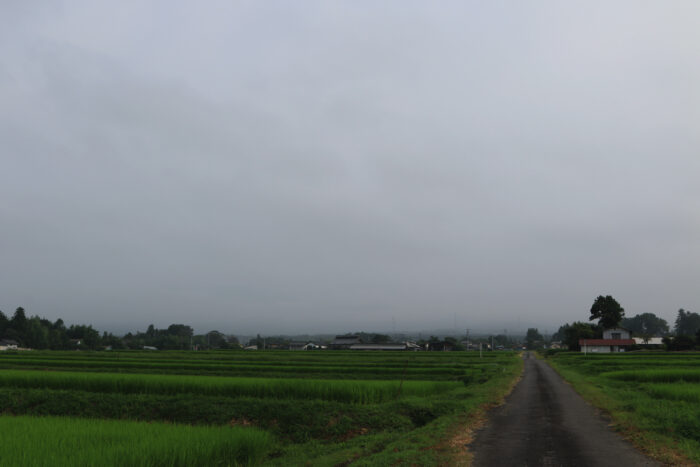 8月9日(日)　AM 7:48　前橋市苗ケ島町