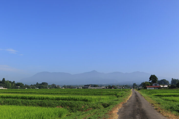 8月11日(火)　AM 7:49　前橋市苗ケ島町