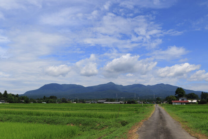 8月13日(木)　AM 10:12　前橋市苗ケ島町