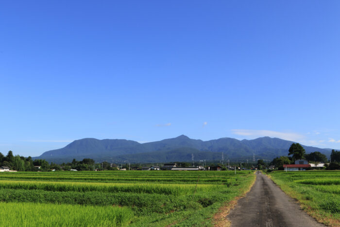 8月14日(金)　AM 7:45　前橋市苗ケ島町