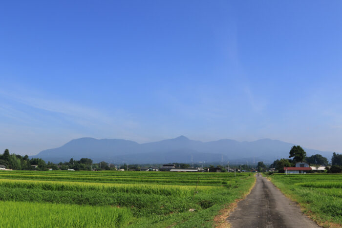 8月15日(土)　AM 8:36　前橋市苗ケ島町