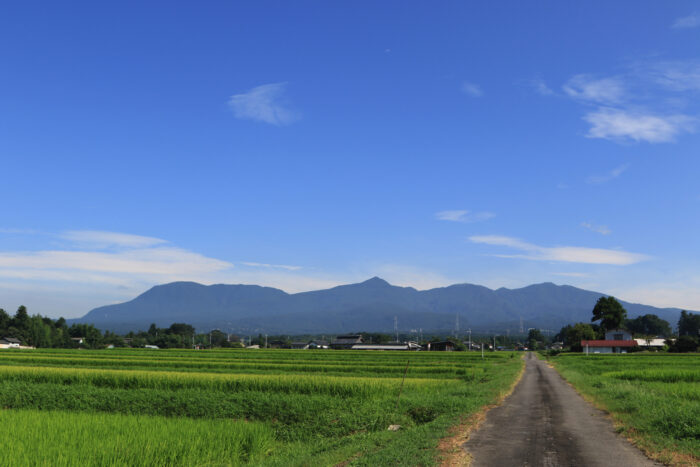 8月16日(日)　AM 8:29　前橋市苗ケ島町