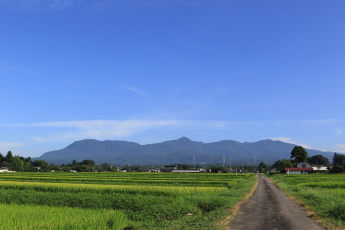 8月18日(火)　AM 7:47　前橋市苗ケ島町