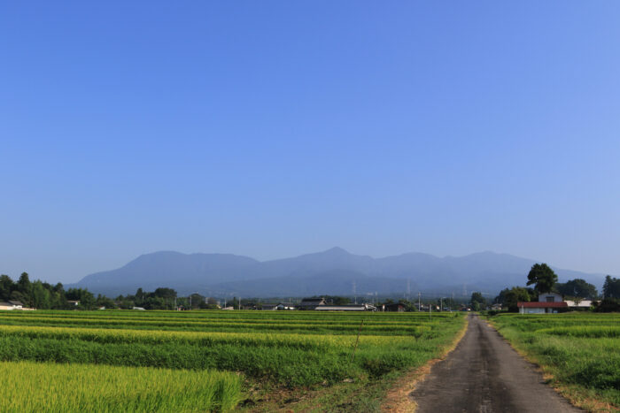 8月20日(木)　AM 7:39　前橋市苗ケ島町