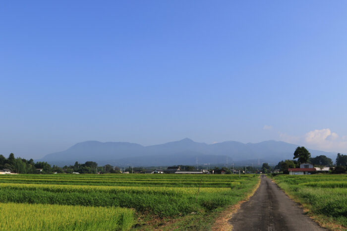 8月21日(金)　AM 7:35　前橋市苗ケ島町