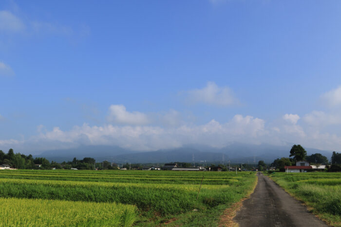 8月24日(月)　AM 7:40　前橋市苗ケ島町