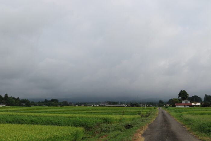 8月25日(火)　AM 7:41　前橋市苗ケ島町