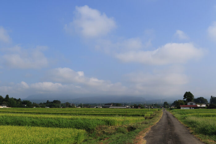 8月26日(水)　AM 7:42　前橋市苗ケ島町