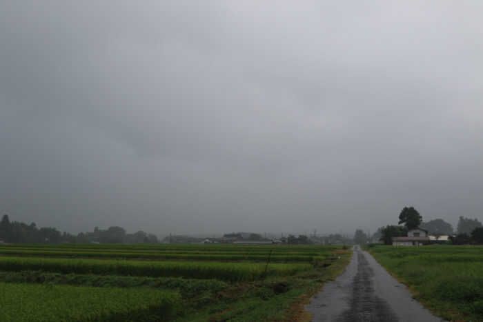 8月27日(木)　AM 7:43　前橋市苗ケ島町