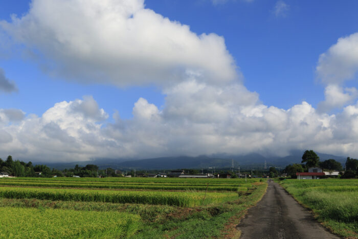 8月28日(金)　AM 7:47　前橋市苗ケ島町