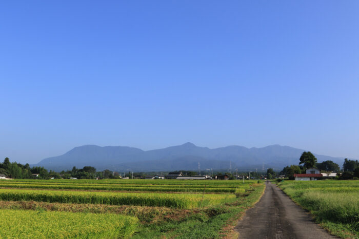 8月29日(土)　AM 7:32　前橋市苗ケ島町