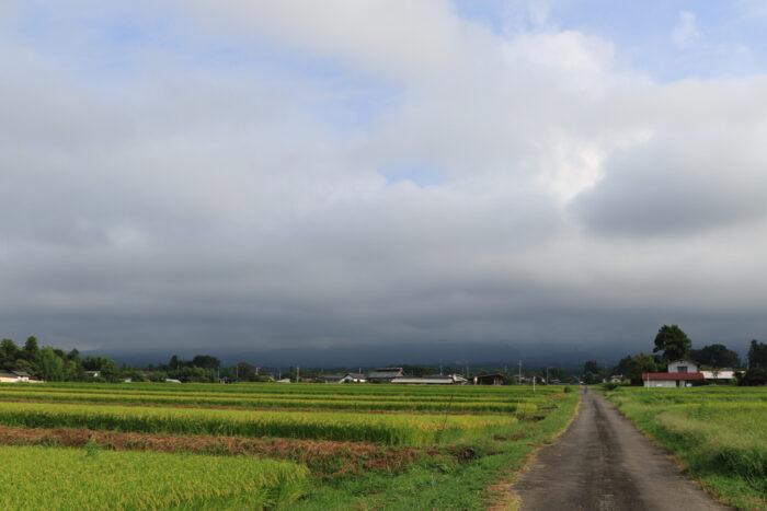 8月31日(月)　AM 7:45　前橋市苗ケ島町