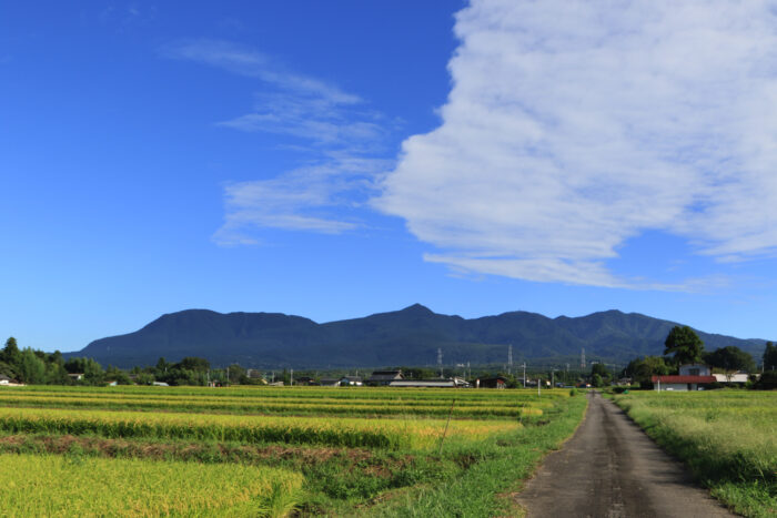 9月4日(金)　AM 7:33　前橋市苗ケ島町