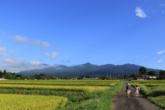 9月8日(火)　AM 7:24　前橋市苗ケ島町