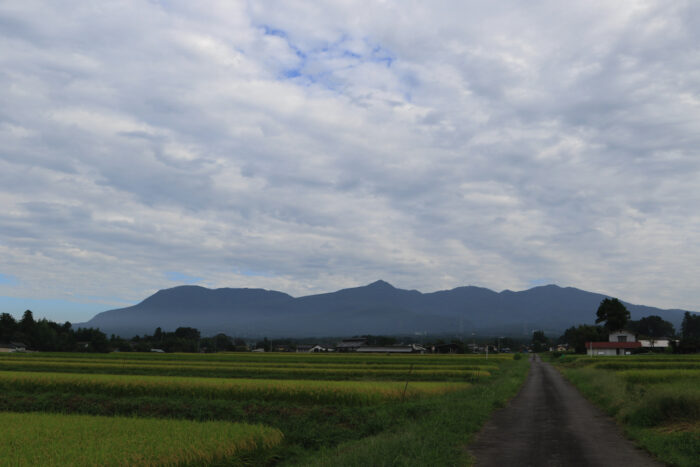 9月9日(水)　AM 7:35　前橋市苗ケ島町