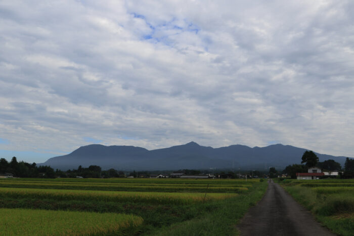 9月9日(水)　AM 7:35　前橋市苗ケ島町