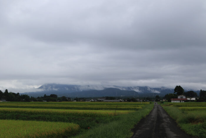 9月12日(土)　AM 8:11　前橋市苗ケ島町