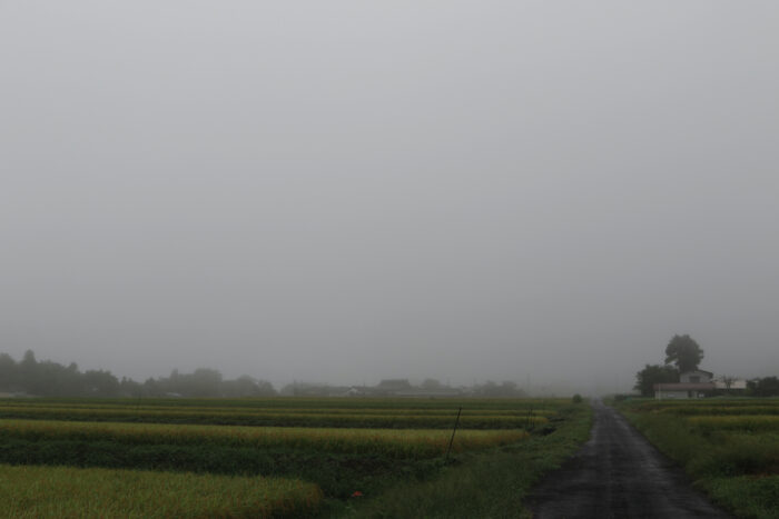 9月14日(月) AM 7:41　前橋市苗ケ島町