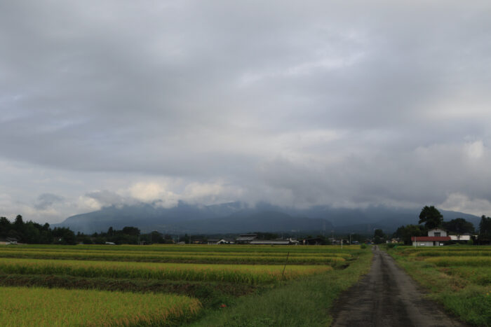 9月16日(水)　AM 7:46　前橋市苗ケ島町