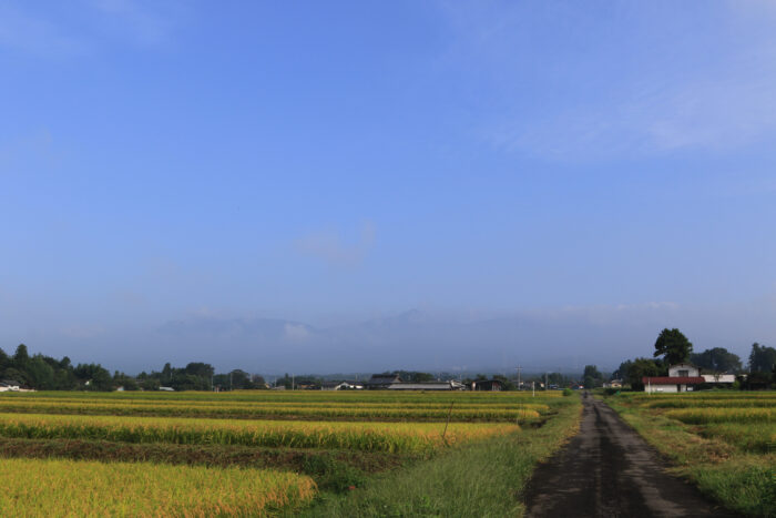 9月17日(木)　AM 7:51　前橋市苗ケ島町