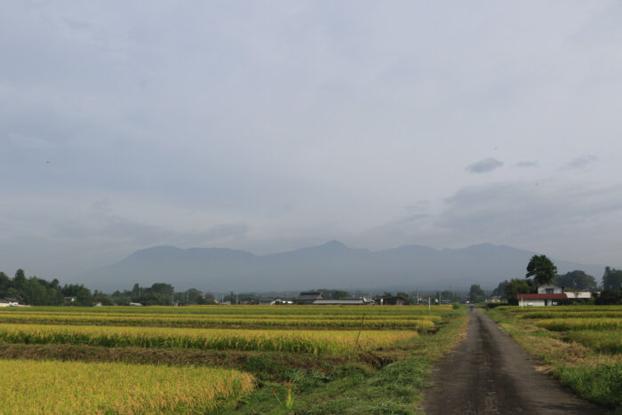 9月18日(金)　AM 7:48　前橋市苗ケ島町