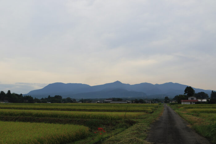 9月21日(月)　AM 7:36　前橋市苗ケ島町