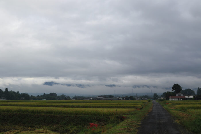 9月23日(水)　AM 8:13　前橋市苗ケ島町