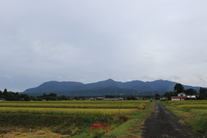 9月24日(木)　AM 7:39　前橋市苗ケ島町