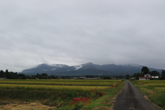 9月25日(金)　AM 7:39　前橋市苗ケ島町