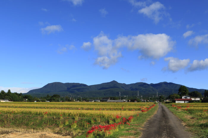 9月28日(月)　AM 8:14　前橋市苗ケ島町